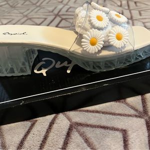 A really cute pair of daisy mules that have never been worn.